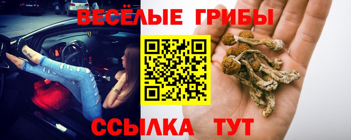 Подольск  Галлюциногенные грибы прущие грибы  Вход с VPN 